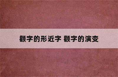 颧字的形近字 颧字的演变